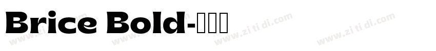 Brice Bold字体转换